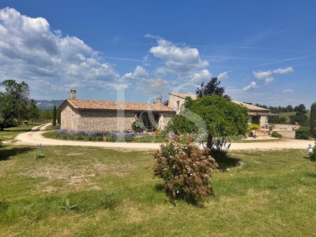Domaine agricole et de chasse de 107ha 448m² Sault