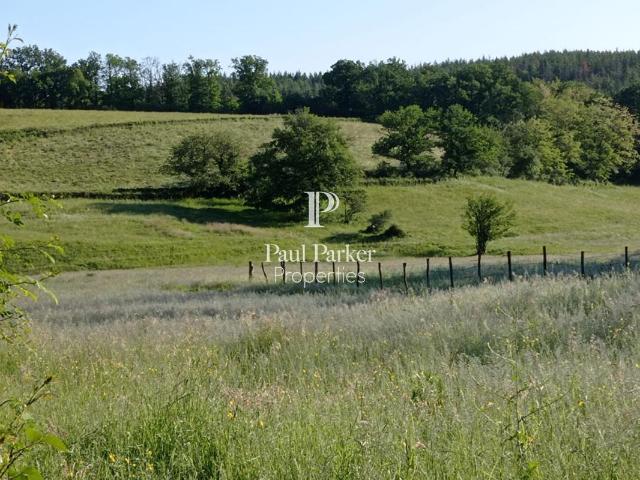 Domaine agricole et forestier 98 hectares