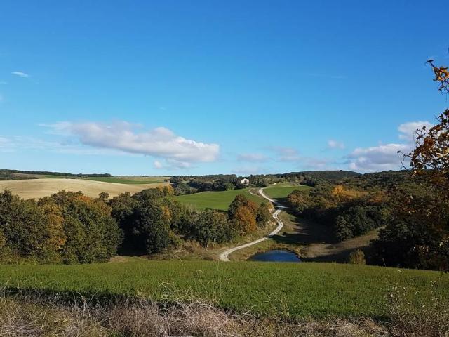Carcassonne Domaine agricole exceptionnel, vue sur les P. 575m² Carcassonne