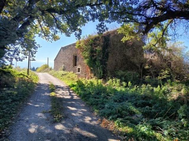 Domaine agricole sur 50 hectares en pleine nature