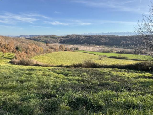 Domaine de 1776 avec 18.86 Ha 216m² Boulogne Sur Gesse