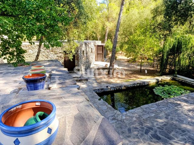 DOMAINE d'exception aux porte de PERPIGNAN. 250m² Perpignan