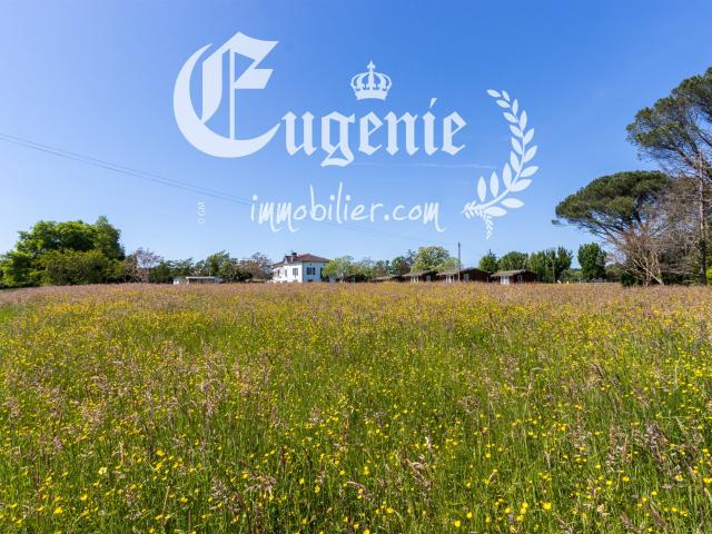 Domaine d'exception de 23Ha aux portes du pays basque 1562m² Peyrehorade