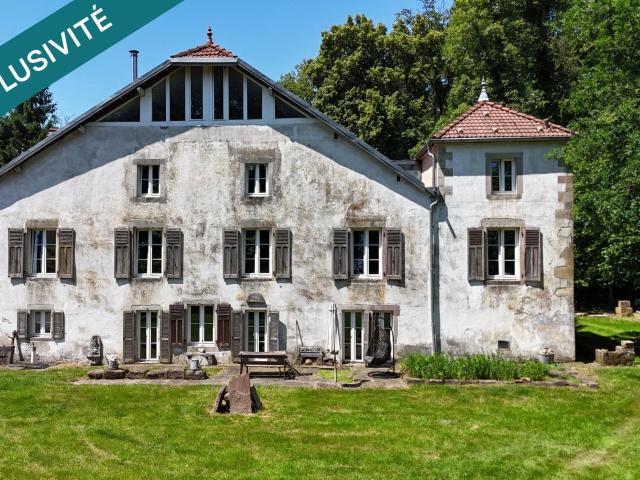 Domaine d'exception du XIXe siècle 571m² Rupt sur Moselle