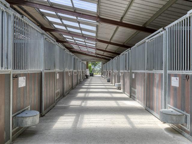 Domaine équestre de prestige avec hébergements et installati. 200m² Tarbes