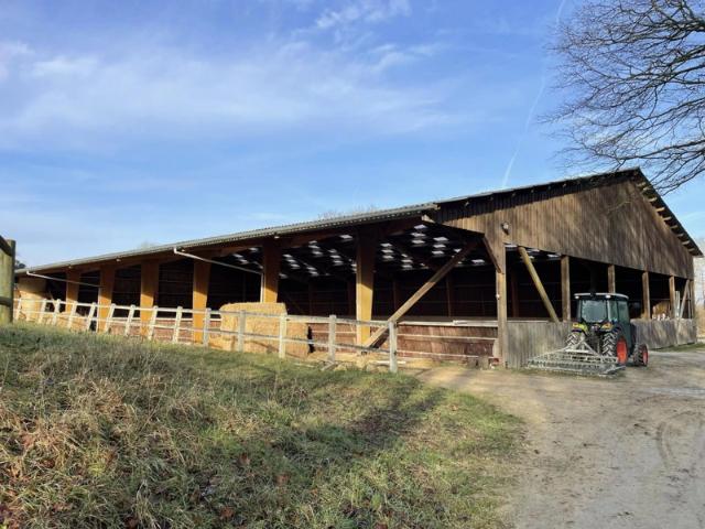 Domaine équestre