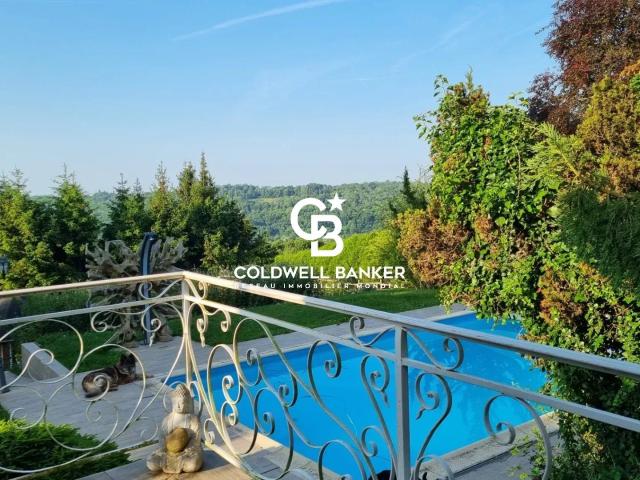 Domaine paisible et bucolique avec Piscine à 1h de Paris 910m² Orly sur Morin