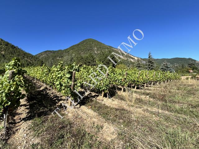 Domaine rare à la vente à 15 mn de Tallard sur 16874 m2 de terrain