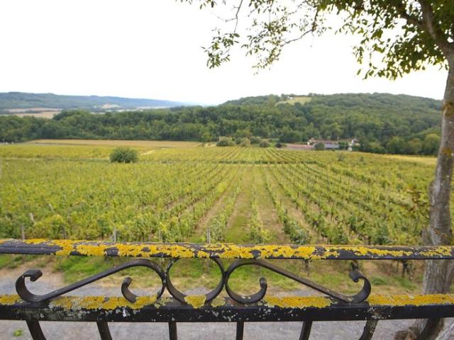 Domaine Viticole d’Exception à Vendre dans le Sud Ouest de la France
