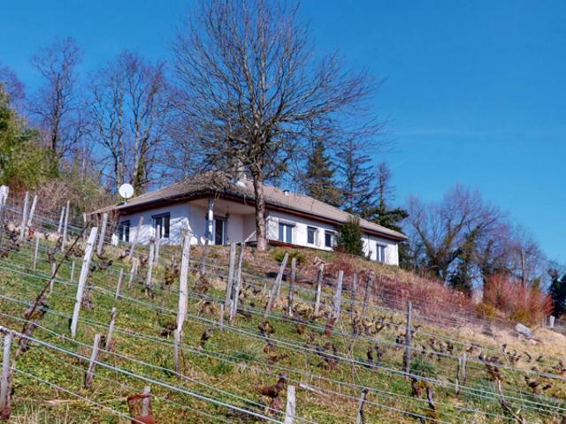 Domaine viticole exceptionnel