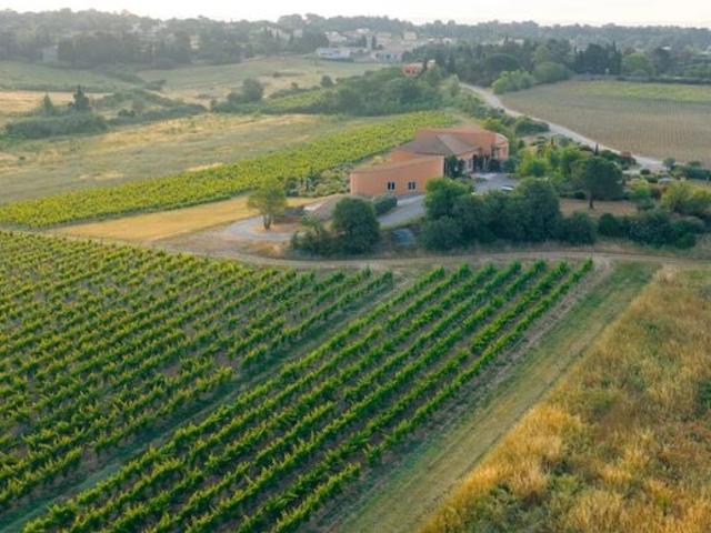 Domaine viticole exceptionnel aux portes de Carcassonne
