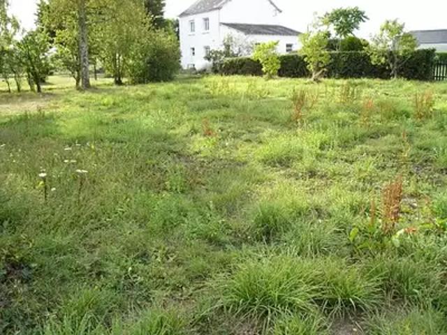 Donges 44480 Programme neuf maison neuf à vendre 4 pièces