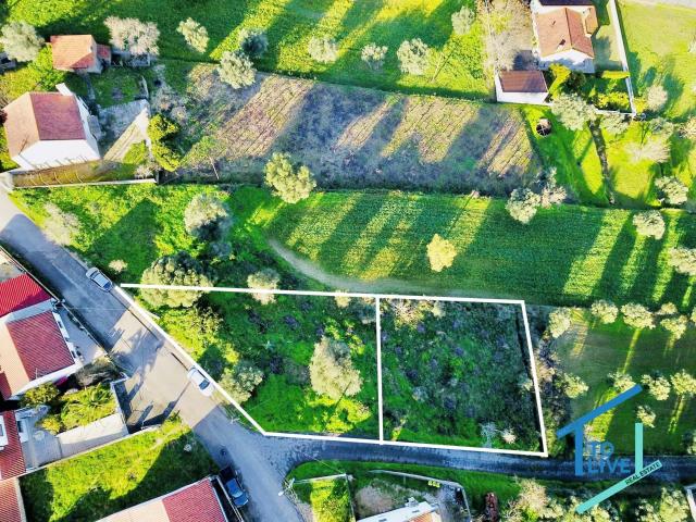 Dois Lotes de Terreno para Construção – Próximos de Tomar