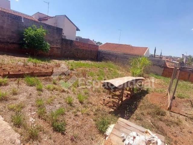 Dois Terrenos meio da quadra Vila Santa Cecília