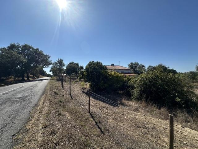 Dois terrenos contíguos, 59.954 m² com casa, Grândola