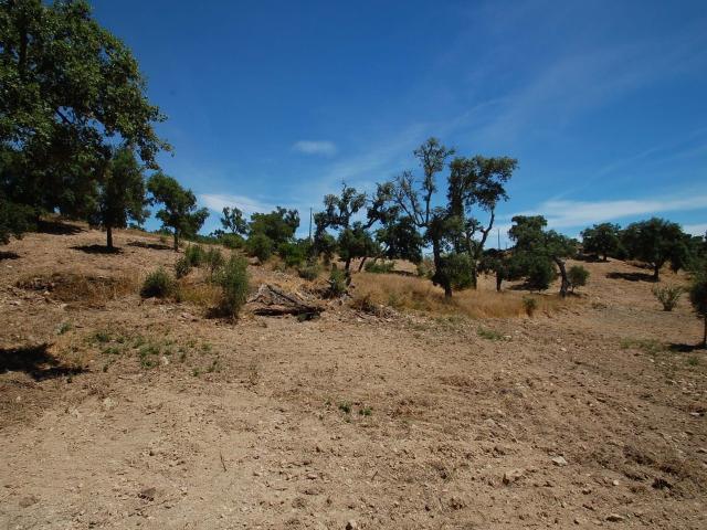 Dois terrenos para construção com plantas aprovadas na serra de S. Brás