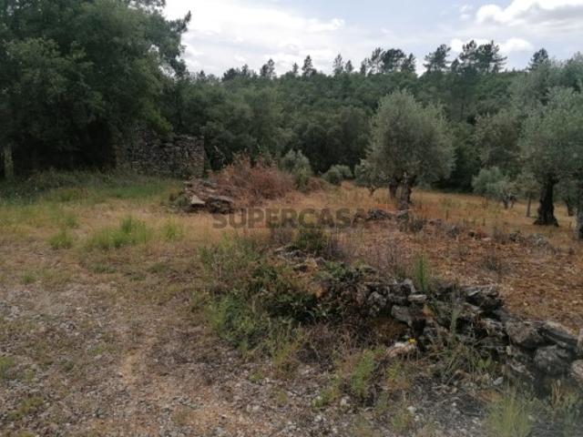 Dois terrenos rústicos com 4.074 m² Carvalhal da Póvoa, Tomar