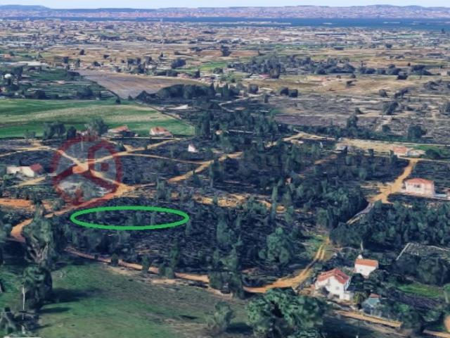 Dois Terrenos Rústicos com 1,125m2 em Pinheiro Ramudo, Quinta do Anjo