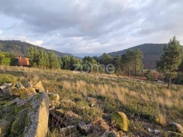 Dois Terrenos Rústicos com 2,6 Ha