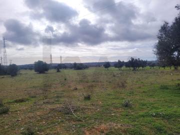 DOIS TERRENOS RÚSTICOS COM O TOTAL DE 12160M2 PARA VENDA EM CORTEZÕES TUNES