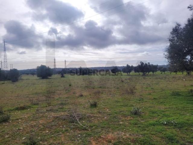 DOIS TERRENOS RÚSTICOS COM O TOTAL DE 12160M2 PARA VENDA EM CORTEZÕES TUNES