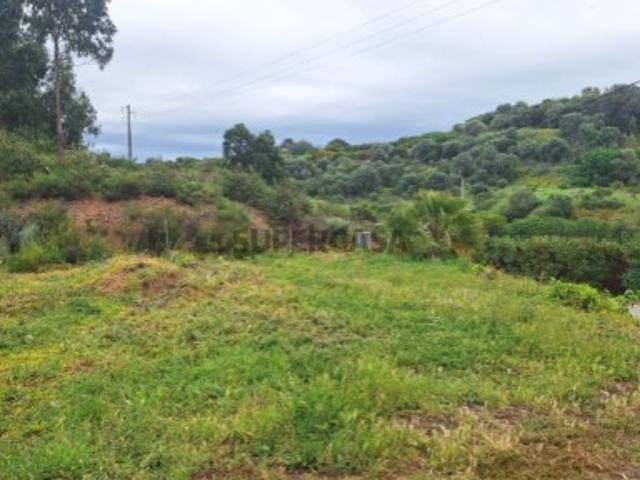 Dois terrenos rústicos para agricultura com árvores de fruto, com uma área total de 2883 m2, localizados a 2 minutos do centro da cidade de Silves