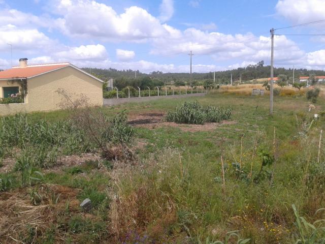 Dois Terrenos T1304/14
