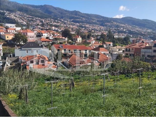 Dois terrenos urbanos 1900m2 + 1010m2 em Santo António, Funchal