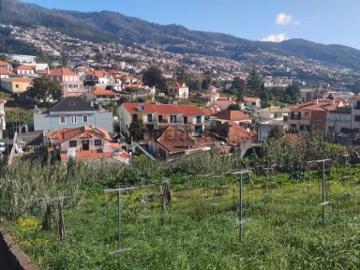 Dois terrenos urbanos 1900m2 + 1010m2 em Santo António, Funchal