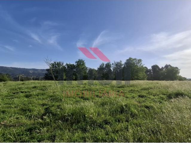 Dois terrenos urbanos com área total de 5900m2