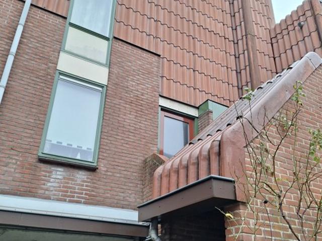 Dollardstraat 31