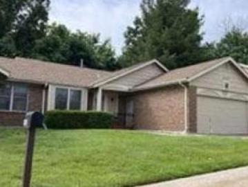 Dolphin Cir E