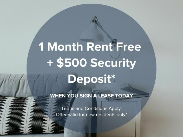 Dolphin Square Apartments Bachelor available at 8200 Park Road, Richmond Apartment for Rent