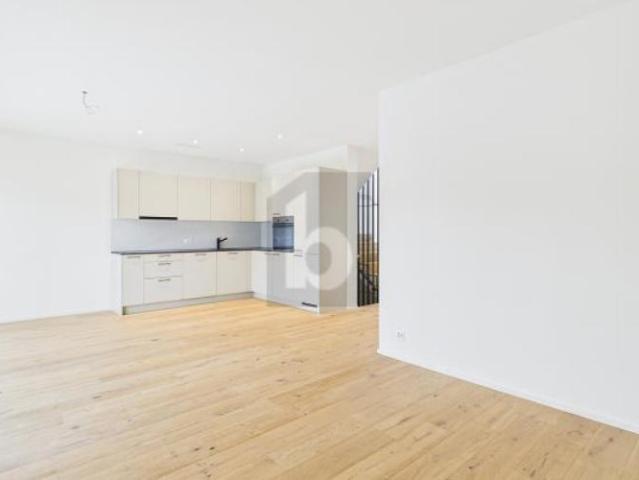 Doppeleinfamilienhaus 4.5 Zimmer