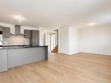 Doppeleinfamilienhaus 4.5 Zimmer