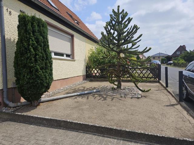 Doppelhaushälfte mit großem Grundstück in Grüneberg