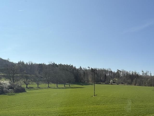 Doppelhaushälfte in Oberuhldingen