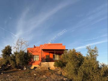 Çukurova, Adana ili, Akdeniz Bölgesi