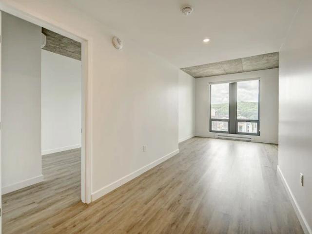 Dorchester Apartments — 1 Bedroom