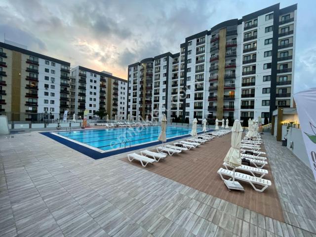 Dorelife Sitesi Eşyalı Kiralık 1+1 Havuz Cephe Halil Güler