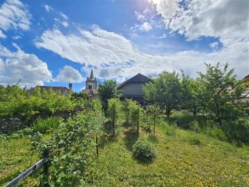 Dorfhaus mit großem Garten