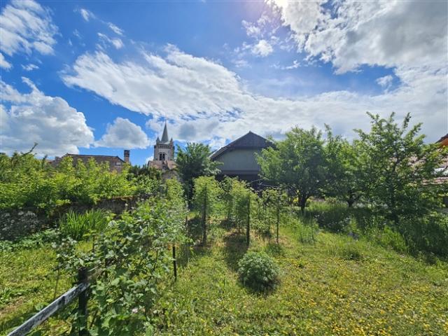 Dorfhaus mit großem Garten