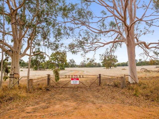 Doriana Prime Mixed Farming Opportunity with Scale, Water & Infrastructure