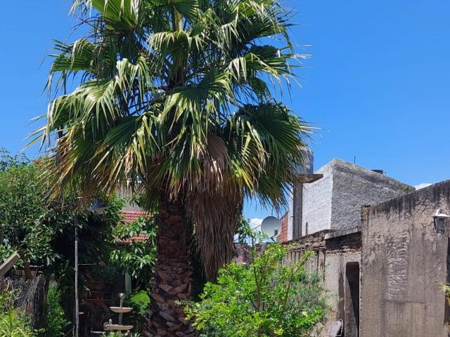 DOS CASAS EN VENTA CALLE CASTAÑON AL 3.100, R.CASTILLO en Inmomap