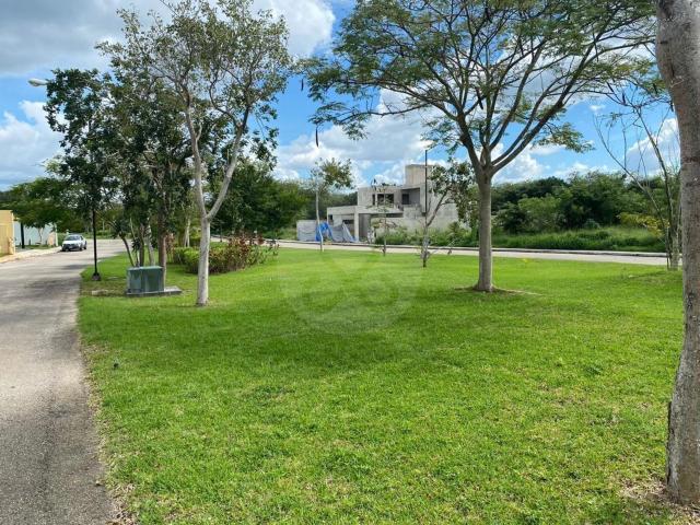 Dos lotes juntos en venta! se venden juntos o separados! Privada con amenidades!