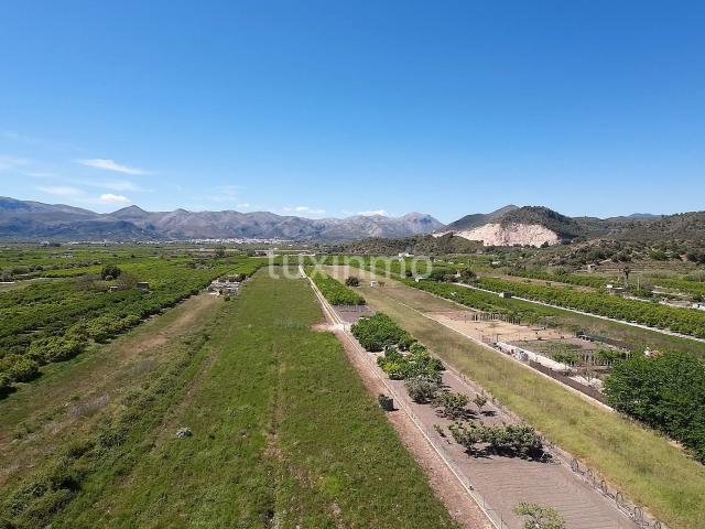 Dos parcelas contiguas en Pego 0m² Monte Pego