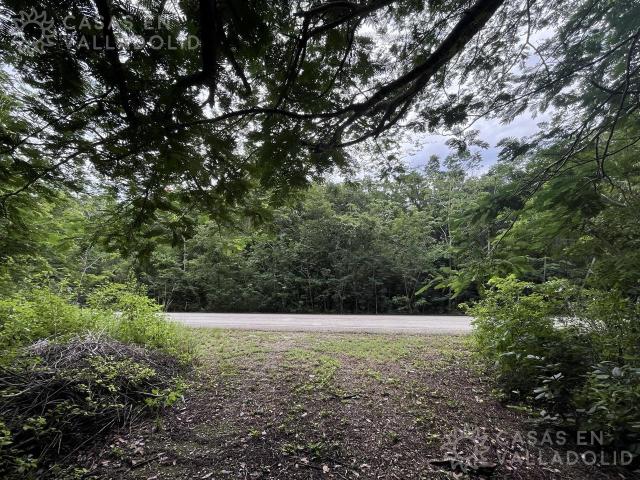 Dos terrenos en venta para rancho cerca de Tekom Yucatan