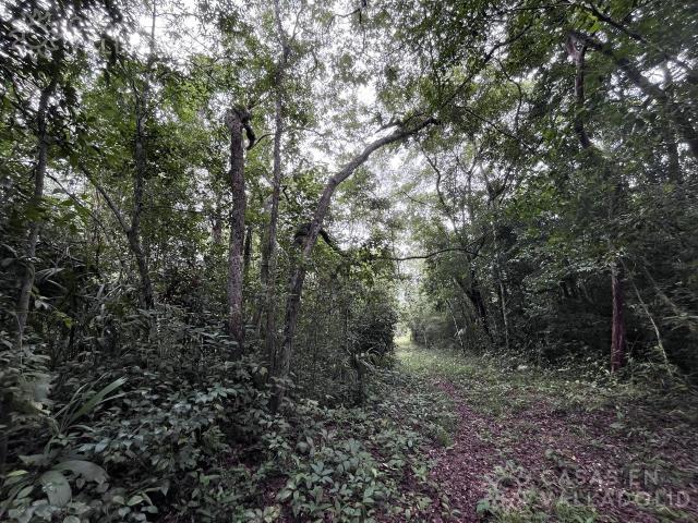 Dos terrenos en venta para rancho cerca de Tekom Yucatan