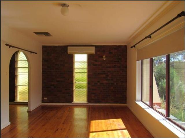 Double Bricked +Solar
