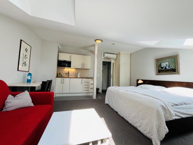 Double studio in Frankfurt's Westend near the old opera